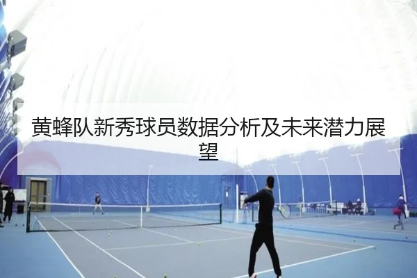 黄蜂队新秀球员数据分析及未来潜力展望